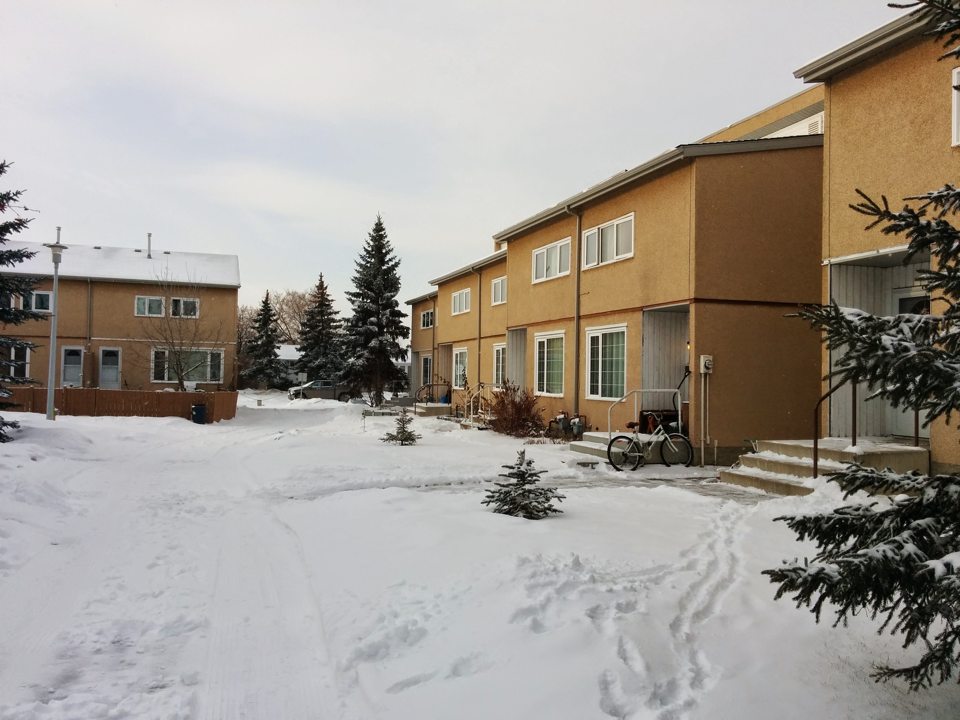 Synergen fire lane in the winter